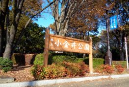 またまた、水道設備の工事。