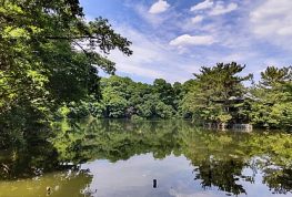 水道設備のメンテナンス・・・ 練馬区石神井台！
