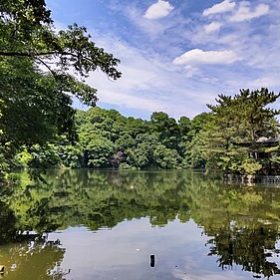水道設備のメンテナンス・・・ 練馬区石神井台！