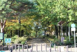 キッチン設備のメンテナンスへ。