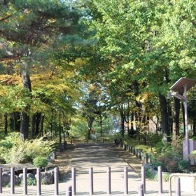 キッチン設備のメンテナンスへ。